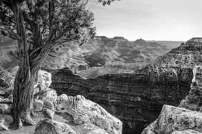 Grand Canyon-9621.jpg Grand Canyon-9621.jpg